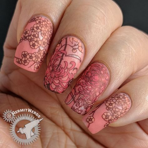 Coral Chrysanthemum - Hermit Werds - coral monochrome nail art with an oriental pattern using Japanese chrysanthemum and cherry blossom stamping decals Chrysanthemum Nails, Chrysanthemum Nail Art, Chrysanthemum Symbolism, Painted Chrysanthemum, Japan Nail Art, Crysamthmum Flower Japanese, Monochrome Nails, Japan Nail, Bright Summer Nails Designs