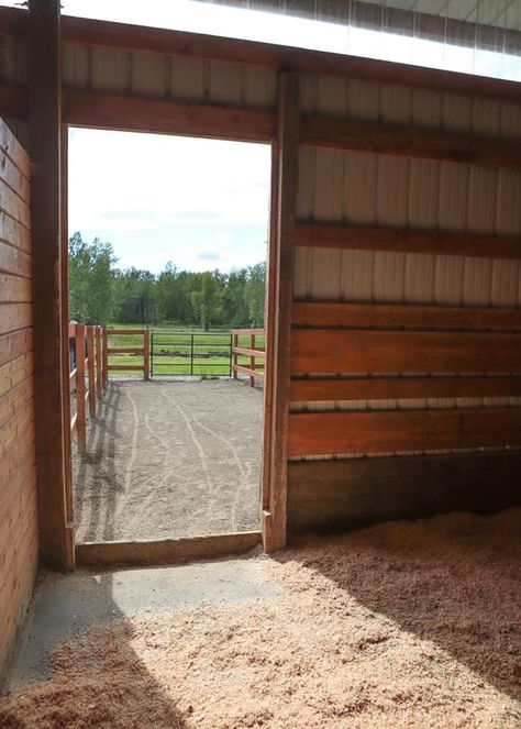 Horse Stall With Paddock, Horse Paddock Fencing, Dry Lots For Horses, Small Horse Barn Ideas, Horse Stalls Cheap, Horse Stable Aesthetic, Horse Stall Ideas, Small Horse Barn Plans, Equine Stables