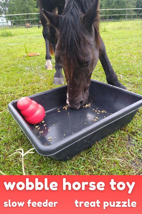 Horse Slow Feeder, Diy Horse Toys, Bits For Horses, Toys For Horses, Livestock Shelter, Horse Ownership, Horse Farm Ideas, Paddock Paradise, Horse Fencing