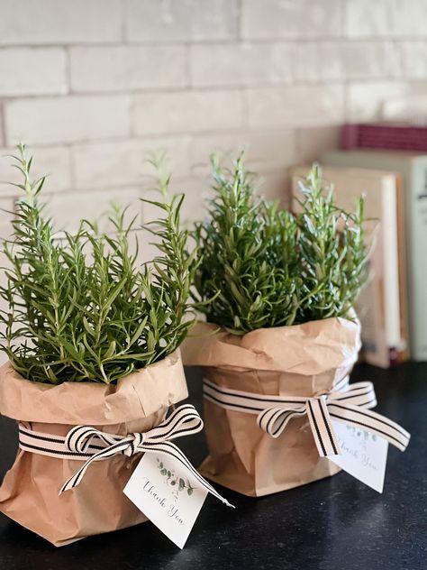 Rosemary Party Favor - A Thoughtful Place Rosemary Arrangement Table Decorations, Herb Party Favors, Plants For Table Centerpiece, Garden Club Party Favors, Simple Party Favors For Adults, Rosemary Centerpiece Ideas, Rosemary Arrangement, Rosemary Gifts, Omega Foods