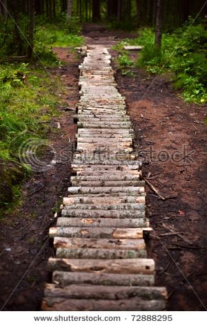 log path Cabin Pathway Ideas, Log Lined Path, Log Slice Pathway, Bark Pathway Garden Paths, Wooded Backyard Landscape, Wood Pathway, Forest Steps Pathways, Wood Path, Wood Walkway