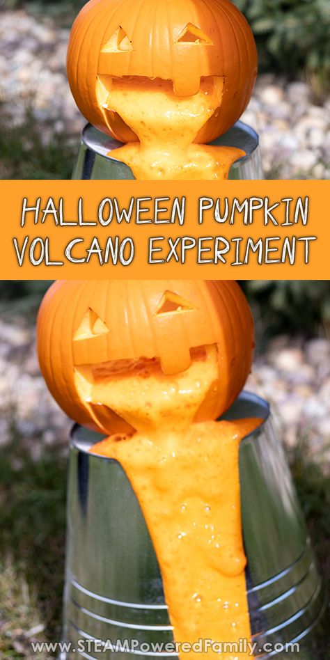 Puking pumpkin science experiment. This fall science experiment is perfect for Halloween. Simple chemistry kids love. Pumpkin Volcano, Pumpkin Slime, Volcano Science Projects, Volcano For Kids, Pumpkin Science Experiment, Puking Pumpkin, Pumpkin Science, Chemistry For Kids, Volcano Experiment