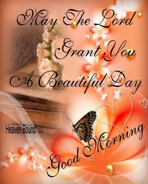 May the Lord grant you a Beautiful Day.  Good Morning! Have A Great Day Quotes, Great Day Quotes, Make A Joyful Noise, Good Morning Inspiration, Joyful Noise, Good Morning Prayer, Good Morning God Quotes, Cute Good Morning Quotes, Good Morning Beautiful Quotes