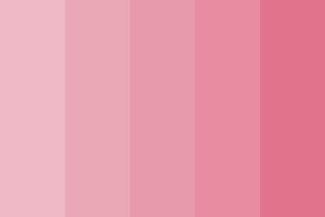 muted pinks Color Palette Create Color Palette, The Color Pink, Pink Color Schemes, Pink Palette, Color Palette Pink, Color Palette Design, Aesthetic Colors, Colour Board, Color Wheel