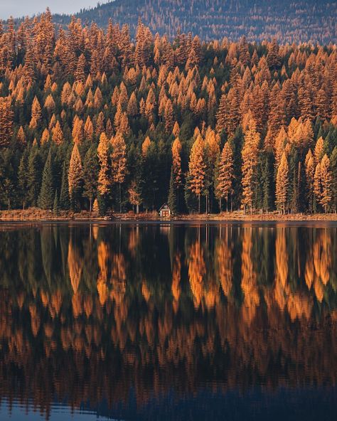 Montana Aesthetic, In The Pale Moonlight, Big Sky Montana, Plants Are Friends, Autumn Cozy, Big Sky, Autumn Aesthetic, Autumn Photography, Nature Pictures