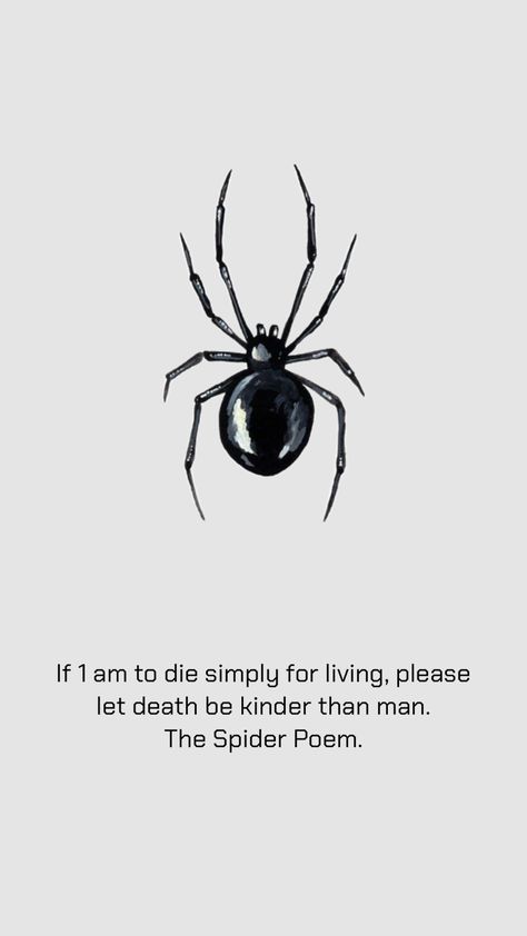 Spider poem #spider Spider Quotes, Spider Poem, Killing Spiders, Animal Quotes, Spiders, Meaningful Quotes, Poetry, Pet, Quotes