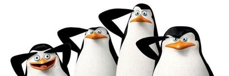 Funny Banners For Discord, Penguins Madagascar, Notebook Wallpaper, Funny Banner, Bird App, Penguins Of Madagascar, Cute Headers For Twitter, Twitter Header Pictures, Twitter Header Aesthetic