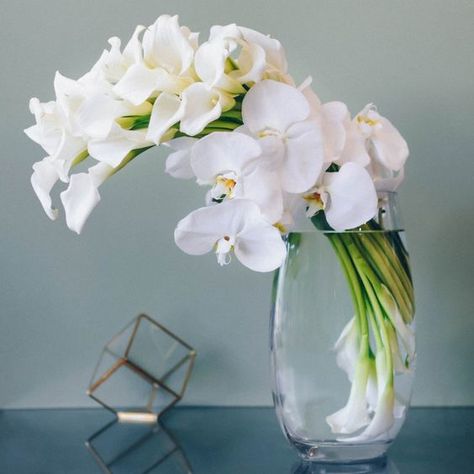 flower vases, Interior decoration, vases Flower Vases Ideas, Flower Vase Ideas For Home, White Orchid Centerpiece, Contemporary Arrangements, Orchid Ideas, Calla Lily Centerpieces, White Phalaenopsis Orchid, Lily Centerpieces, Vases Ideas