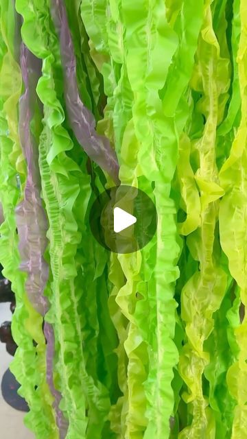 Cindy Asp~Spotswood PS on Instagram: "Making seaweed by gently stretching plastic strips of table cloth to create a twist. We will add some fairly lights to make it twinkle and a fan to create some movement.
.
.
.
#spottyartshow24 #artshow #primaryart #elementaryart #artforkids #studentart #visualart #artroom #artteachersofinstagram #artteacherlife #underthesea" Seaweed From Plastic Tablecloth, Plastic Table Cloth Ideas, Table Cloth Ideas, Plastic Table Cloth, Cloth Ideas, Plastic Table, Fundraising Ideas, Plastic Tablecloth, Elementary Art