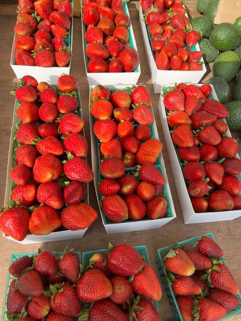 Framers Market, Farmers Market, Strawberries, Farmer, Favorite Recipes, Fruit, Marketing