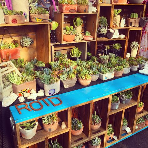 ROTDcreations market display Plants Craft, Farmers Market Display, Vendor Booth Display, Craft Market Display, Succulent Display, Craft Fairs Booth, Craft Market, Market Display, Craft Booth Displays