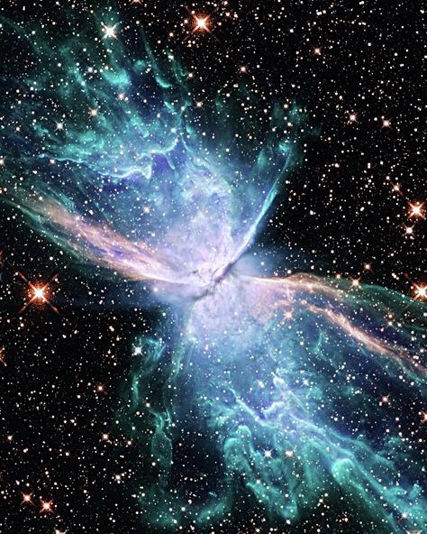 Astronomy on Instagram: “Stunningly Real Images of Deep Space! These beautifully real images include: the Butterfly Nebula (Infrared), Spiral Galaxy NGC 2336, and…” Butterfly Nebula, Astronomy Nebula, Fantasy Cottage, Galaxy Photos, Aesthetic Galaxy, Real Images, Spiral Galaxy, James Webb Space Telescope, Space Photos