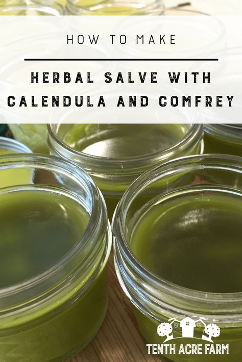 How to Make Herbal Salve with Calendula and Comfrey: Herbal salve is often used for healing skin ailments. Learn how to use herbs from your garden to make a healing herbal salve. #microfarm #herbalism #herbalsalve Calendula Salve, Healing Skin, Healing Wounds, Salve Recipes, Herbal Salves, Healing Salves, Herbal Recipes, Natural Healing Remedies, Herbal Healing