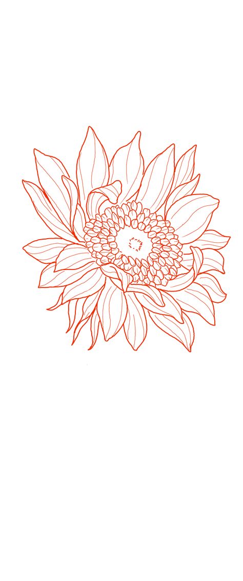 Sunflower Tattoo Design Shoulder, Sunflower Vine Drawing, Wild Sunflower Drawing, Sunflower Honeycomb Tattoo, Tattoo Stencil Outline Flowers, She Is Art Tattoo Stencil, Sun Flower Line Drawing, Rose And Sunflower Drawing, Sunflower Drawing Outline