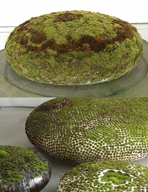 Beautiful moss-stone sculptures by Mizuno Moss Sculpture, Moss Planter, Ponds For Small Gardens, Speculative Design, Stone Sculptures, Moss Covered, Stone Vase, Stone Planters, Moss Art