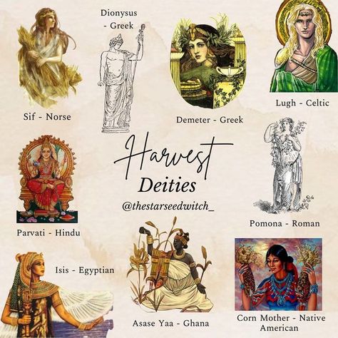 Goddess Correspondences, God Of Agriculture, Goddess Of Agriculture, Goddesses To Worship, Nature Deities, Goddess Of Harvest, Goddess Of Autumn, Fall Goddess, Pagan Gods And Goddesses