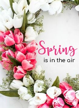 Spring is in the air! Spring Is Coming Pictures, Happy Spring Images, Air Pictures, Glasses Quotes, Hello Spring Wallpaper, Hello Quotes, Cottage Spring, Welcome Images, Months And Seasons