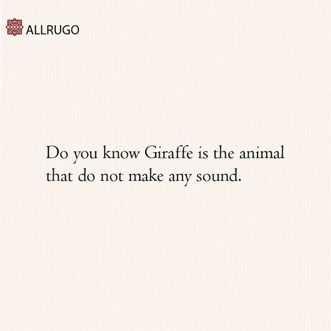 Do you know Giraffe is an animal that does not make any sound. #animals #nature #animal #wildlife #love #pets #cute #photography #pet #dog #cats #dogs #naturephotography #instagram #cat #wildlifephotography #photooftheday #animallovers #birds #dogsofinstagram #of #petsofinstagram #instagood #art #animalsofinstagram #catsofinstagram #animalphotography #petstagram #puppy #bhfyp Pets Cute, Animal Wildlife, Cute Photography, An Animal, Cats Dogs, Pet Dog, Wildlife Photography, Animal Photography, Cats Of Instagram