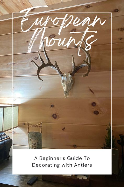 We want to share a few ideas for beautifying your home by decorating with Reproduction European Mounts from Cast Horn Designs! These mounts are simple pieces, yet they can change the entire aura of a space. Learn more on our blog! European Deer Mount Ideas Display, European Mount Decor, European Deer Mount Ideas, European Deer Mount, Horn Designs, Deer Mount Ideas, European Mounts, Decorating With Antlers, Deer Processing