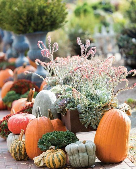 This New England Garden Shop Thrives in Autumn - The Cottage Journal Fall Porch Ideas, England Garden, New England Garden, Cottage Journal, English Cottage Decor, Holiday Greenery, Photography Decor, Fall Garden, Garden Nursery