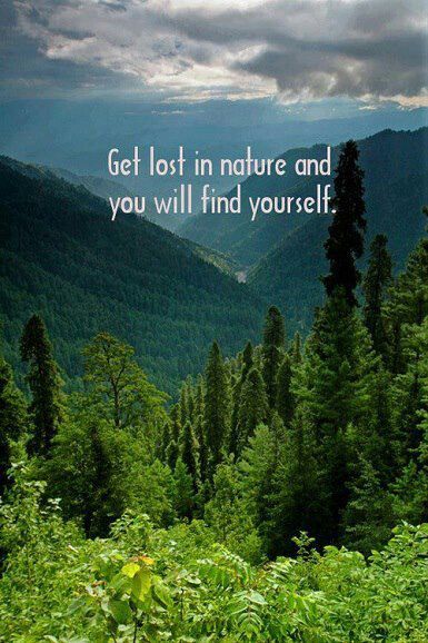 Get lost in nature & you will find yourself Citation Nature, Lost In Nature, Nature Quotes, Find Yourself, A Quote, In The Woods, Bones Funny, In Nature, The Words