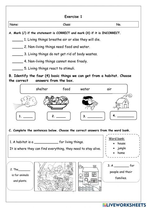 Living Things And Non Living Things, States Of Matter Worksheet, Grade 2 Science, Basic English Sentences, Matter Worksheets, Biology Worksheet, English Exam, 1st Grade Science, Force And Motion