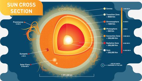 Sun Facts For Kids, Sun Information, Facts About The Sun, Sun Facts, Steam Challenges, Solar System Projects, Space Unit, Sun Projects, Matter Science