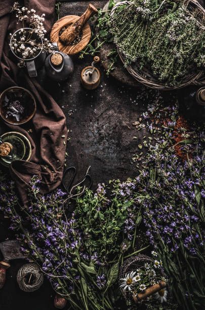 Tea Garden Ideas, Green Witch Aesthetic, Witches Cottage, Nature Witch, Witch Pictures, Herbal Apothecary, Dried Herbs, Season Of The Witch, Tea Garden