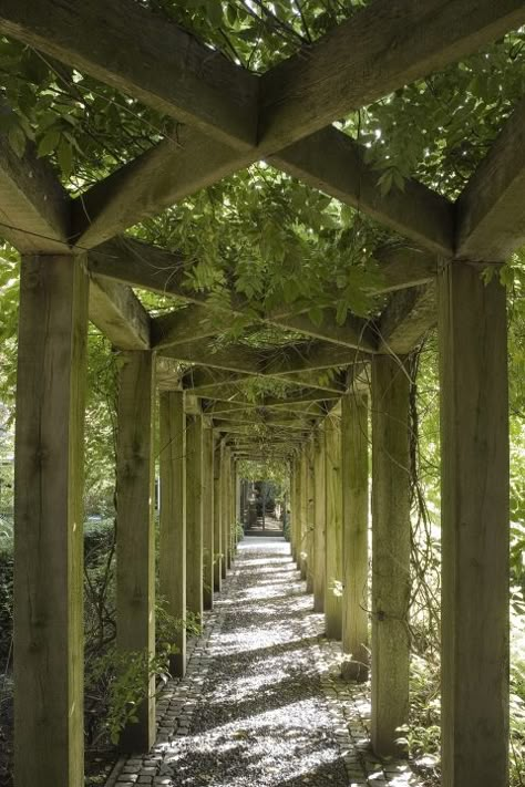 Pergola Walkway, Wisteria Arbor, Wisteria Pergola, Modern Mansions, Memory Garden, Grape Arbor, Garage Pergola, Cheap Pergola, Covered Walkway