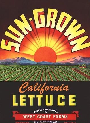 Watsonville, California Lettuce Box Label with Rising Sun, Farm Produce Produce Signs, Lettuce Celebrate, Watsonville California, Drink Posters, Vegetable Packaging, Vegetable Crate Labels, Vegetable Crates, Fruit Crate Label, Vintage Crate