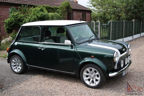 Rover Mini Cooper (1999) 1275 MPI Old Mini Cooper, Rover Mini Cooper, Car Rover, Cactus Backgrounds, Mini Paceman, Nuclear Winter, Mini Cooper Classic, Mini Coopers, Austin Mini