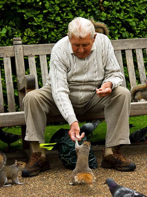 Bench Feeding Squirrels, Feeding Animals, Bird Man, Feeding Birds, Happy Man, Story Teller, English Village, Feeding Time, Golden Years