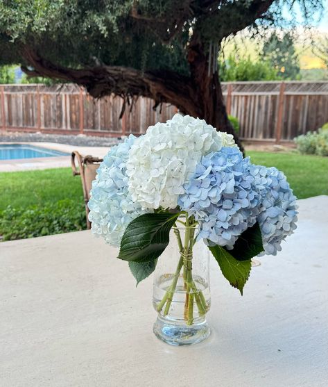 Dark Blue Hydrangea Centerpieces, Hydrangea Wedding Table, Hydrangea Wedding Decor, Blue Hydrangea Centerpieces, Dark Blue Hydrangea, Cocktail Table Centerpieces, Blue Hydrangea Wedding, 20th Bday, Wedding Flowers Hydrangea