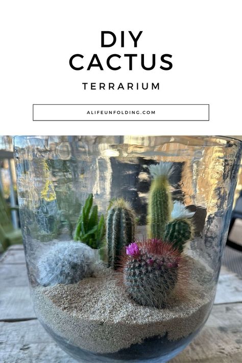 Step-by Step instructions to making your own Cacti Terrarium. Diy Open Terrarium, Easy Terrarium Diy, Cacti Terrarium, Mini Desert, Mini Cactus Garden, Beautiful Houseplants, Diy Cactus, Open Terrariums, Cactus Terrarium