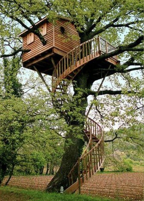 Amazing treehouse! Probably a bit much for my husband to take on ;)  #Spiralstaircase Beautiful Tree Houses, Green Architect, Backyard Trees, Tree House Diy, Cool Tree Houses, Tree House Designs, Diy Tree, Tree Houses, Spiral Staircase