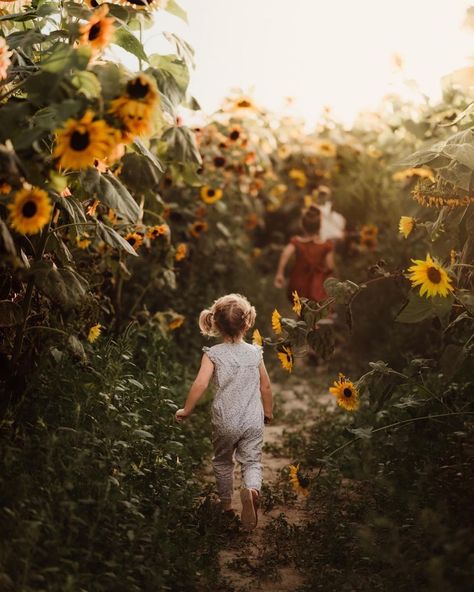 PurelyAuthenticChildhood on Instagram: “🌟Feature🌟 Congratulations @tlovesr your photo has been featured! Stunning photo! Love the perspective and those sunflowers 😍. Thank you so…” Sunflower Field Photography, Sunflower Field Pictures, Lavender Fields Photography, Street Photography Urban, Childhood Photography, Sunflower Family, Sibling Poses, Sunflower Photo, Sunflower Pictures