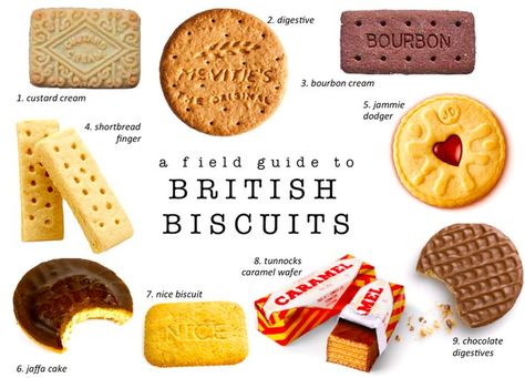 A Field Guide to British Biscuits — Aspiring Kennedy Types Of Biscuits, How To Be British, Foreign Pastries, Cookie Coasters, British Treats, British Tea Time, Nice Biscuits, Jaffa Cakes, British Foods