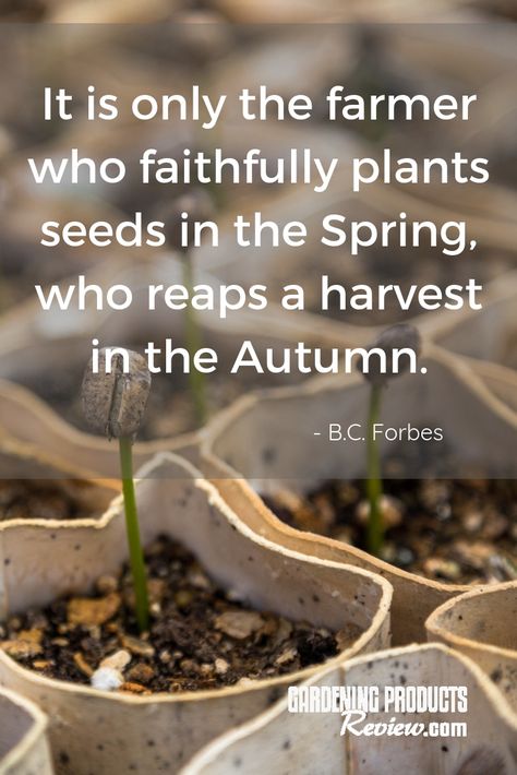 "It is only the farmer who faithfully plants seeds in the Spring, who reaps a harvest in the Autumn." - B.C. Forbes. As they say, you reap what you sow... #gardening #quotes #harvest #farmers Harvest Quotes Farmers, Patio Driveway Ideas, Harvest Quotes, Garden Party Recipes, Gardening Quotes, Reap What You Sow, Garden Wedding Reception, Products Review, Gear Accessories