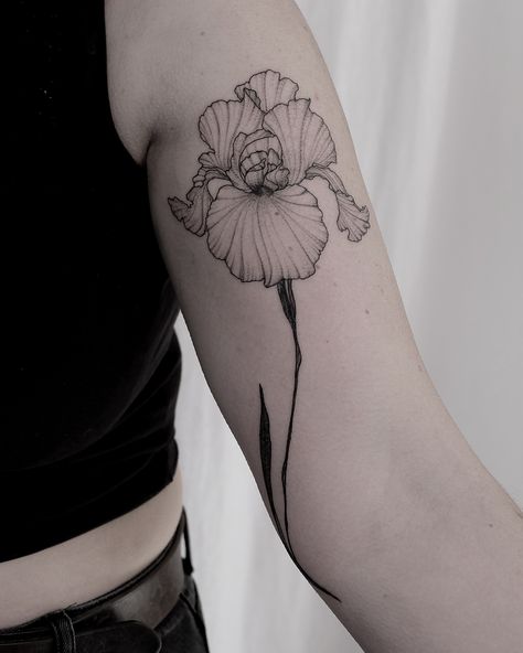 Thank you! #madeinbarcelona #taniavaiana #tattoo #tattoodo #ink #inked #taot #btattooing #tattrx #iris #botanical #flowerpower… Iris Flower Tattoos, Ruth Tattoo, Iris Flower Tattoo, Delicate Flower Tattoo, Realistic Flower Tattoo, Vintage Flower Tattoo, Iris Tattoo, Small Flower Tattoos, Flower Tattoo Shoulder