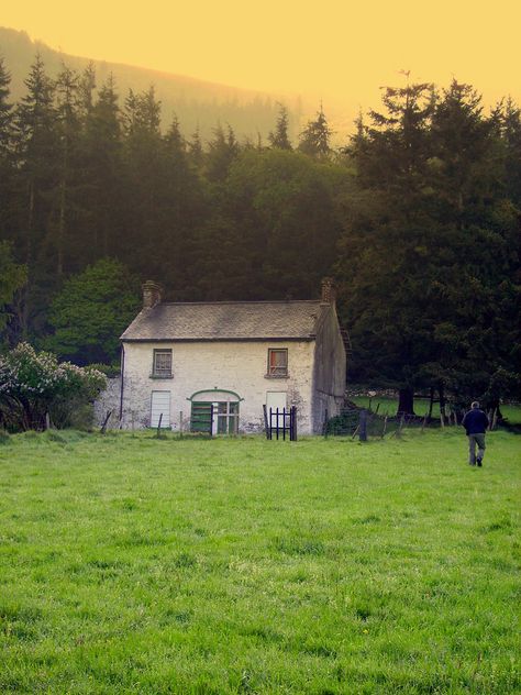 https://flic.kr/p/5Ysa9i | Abandoned Irish farmhouse | Shot May 2007 in County Down, Northern Ireland. You see Patrick to the right… Irish Farmhouse, Irish Country, Irish Cottage, Irish History, Dream Places, Quiet Life, Irish Heritage, Interesting Places, Ireland Travel