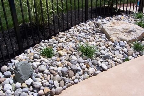 River stones/pebbles in pool landscape? Landscaping Around Pool, Inground Pool Landscaping, Landscaping Around House, River Rock Garden, River Rock Landscaping, Stone Landscaping, Rock Garden Design, Backyard Pool Landscaping, River Rocks