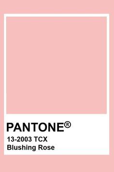 900+ Sweet Pantone Fashion & Home TCX Colors ideas in 2022 | pantone, pantone colour palettes, pantone palette Light Pink Pantone Colour Palettes, Pastel Pink Colour Palette, Light Pink Pantone, Pantone Rosa, Pantone Shades, Pantone Rose, Pink Pantone, Pantone Tcx, Pantone Swatches