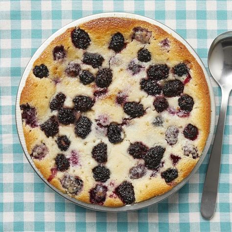 cobbler recipes Blackberry Custard, Country Desserts, Easy Blackberry Cobbler, Blackberry Cobbler Recipe, Clafoutis Recipes, Blackberry Recipes, Berry Cobbler, Blackberry Cobbler, Berry Recipes