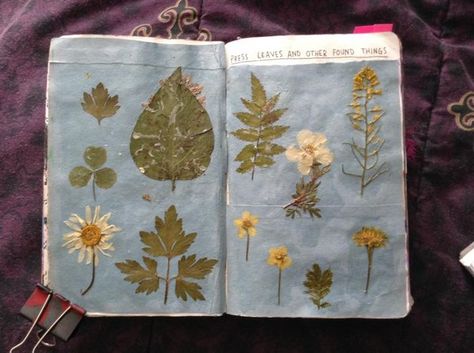 Press Leaves And Other Found Things, Things To Do With Pressed Leaves, Pressed Leaves, Wreck This Journal, Bullet Journaling, Scrapbooking Ideas, My Best Friend, Journal Ideas, My Son