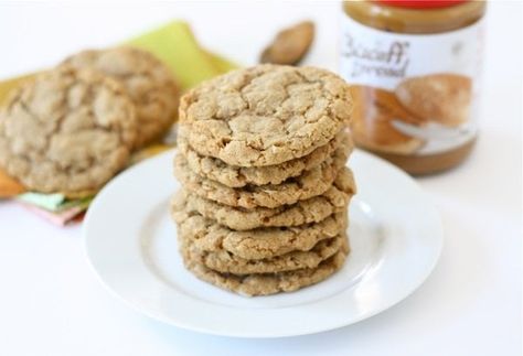 Biscoff Oatmeal Cookies Coconut Oatmeal Cookies Recipes, Biscoff Oatmeal, Oatmeal Cookie Recipe, Biscoff Recipes, Coconut Cookies Recipes, Oatmeal Coconut Cookies, A Glass Of Milk, Sweet Bites, Biscoff Cookies