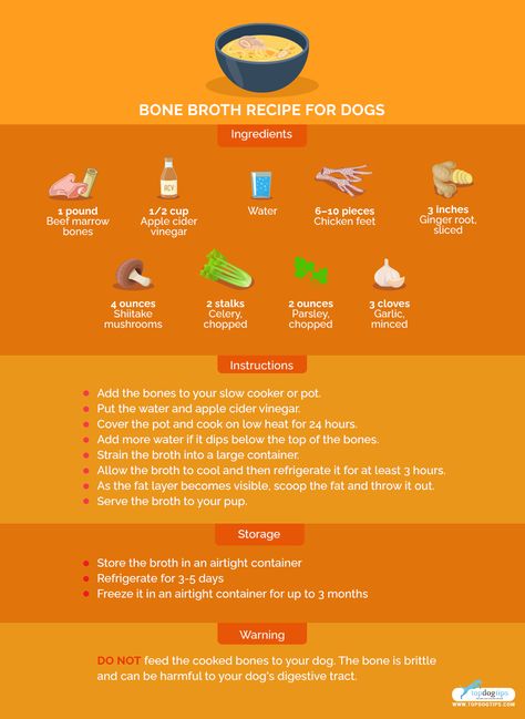 Bone Broth Recipe for Dogs: Healthy and Easy to Make with a Crockpot Bone Broth Benefits For Dogs, Bone Broth Recipe For Dogs, Mochi Food, Puppy Snacks, Bone Broth For Dogs, Broth For Dogs, Beef Marrow Bones, Bone Broth Benefits, Dog Swag