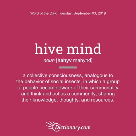 hive mind English Hacks, Vocabulary Expansion, English Adjectives, Advanced English Vocabulary, Uncommon Words, Interesting English Words, Rare Words, British English, The Hive