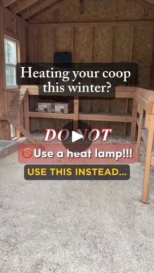 480K views · 2.2K reactions | ✨Chickcozy Chicken Coop Heater✨

•If you are going to add supplemental heat to your coop this winter, do not use a heat lamp! Use the Chickcozy Coop Heater!
-Radiant heat within a 15-inch range offers warmth without overheating your chickens.
-Adjustable temperature range from 122-191°F for versatile winter use.
-Safe anti-tipping feature automatically shuts off to prevent fires.
-Control via manual buttons or remote for convenience.
-Flexible installation options near roosting bars or on the floor for stability.

Video credit: @lowkeyhomestead
Learn more: https://chickcozy.com/pages/coop-heater

#ChickenCoopHeating #RadiantHeat #WinterPreparation #ChickenCare #PeaceOfMind #chickcozy #chickcozycoopheater #coopheater #safe #chickenkeeping #backyardpoultry #urba Heat Lamp For Chicken Coop, Roosting Bars, Heat Lamp, Backyard Poultry, Baby Chickens, Heat Lamps, Radiant Heat, Chickens Backyard, On The Floor