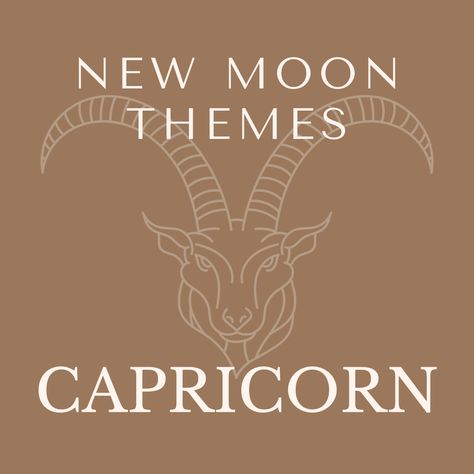 New Moon Guide For Capricorn — Jamie Alcorn New Moon In Capricorn, Capricorn Energy, Moon Capricorn, Moon In Capricorn, Plan For The Future, Cold Moon, Capricorn Moon, Take Responsibility, Black Moon