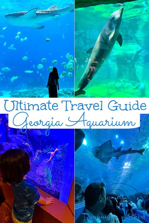 Atlanta Vacation, Aquarium Tips, Aquarium Photos, California With Kids, New York City Guide, Georgia Aquarium, Is It Worth It, Travel Reading, The Whale